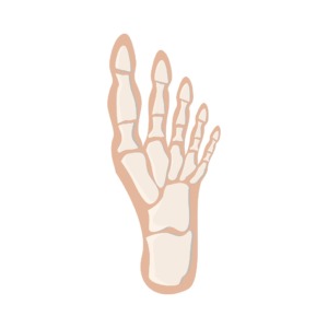 meridian-stress-assessment-electrodermal-screening